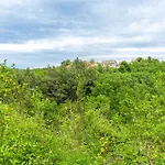 View Apartman Slime