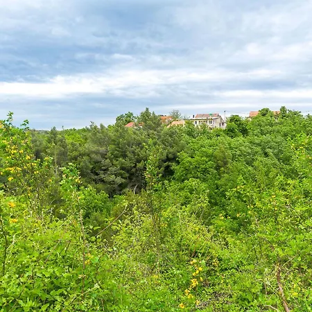 View Apartment Slime